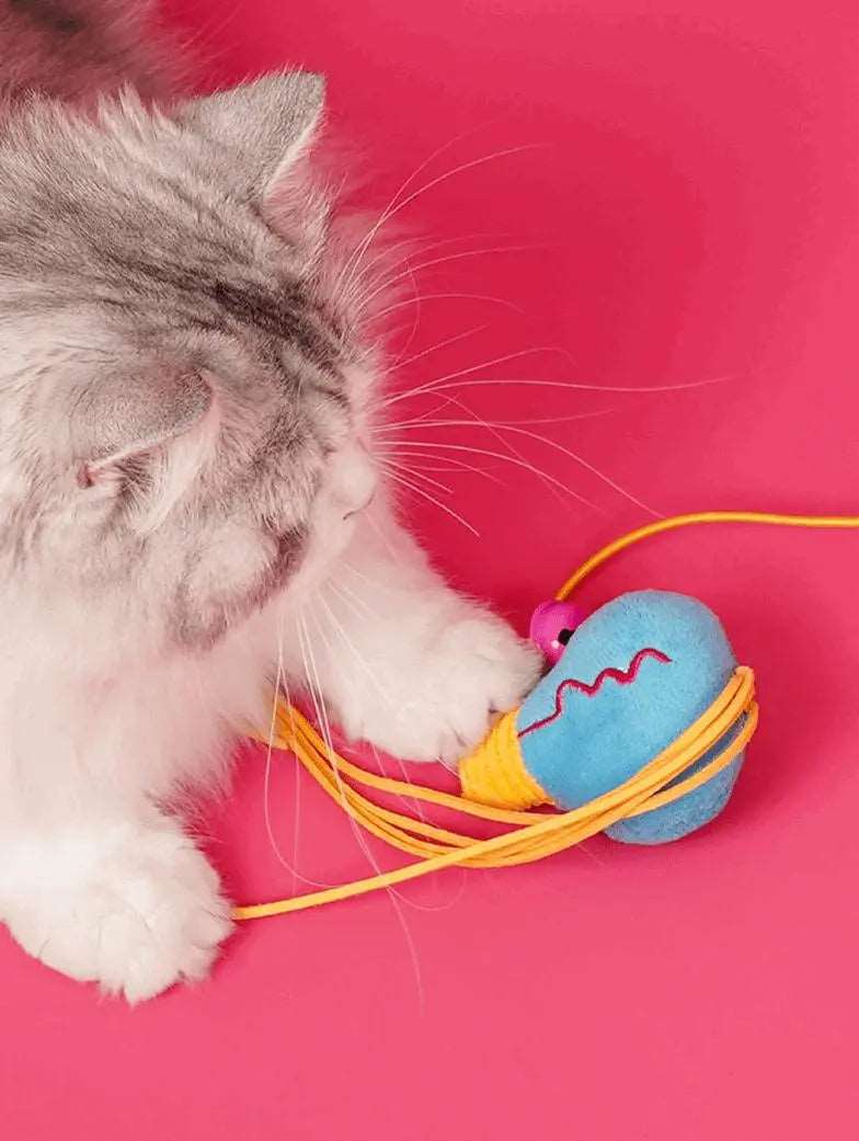 Cat Spring Toy: Fun and Safe for Your Cat