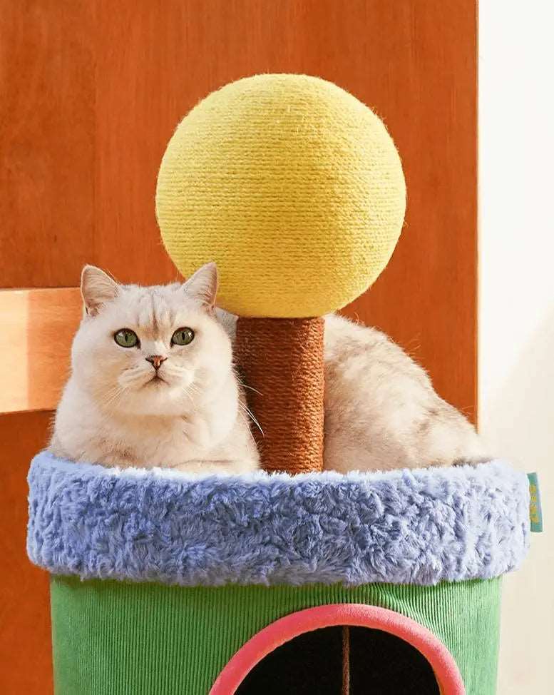 LOLLIPOP HOUSE Cat House - The Perfect Indoor Space for Your Cat